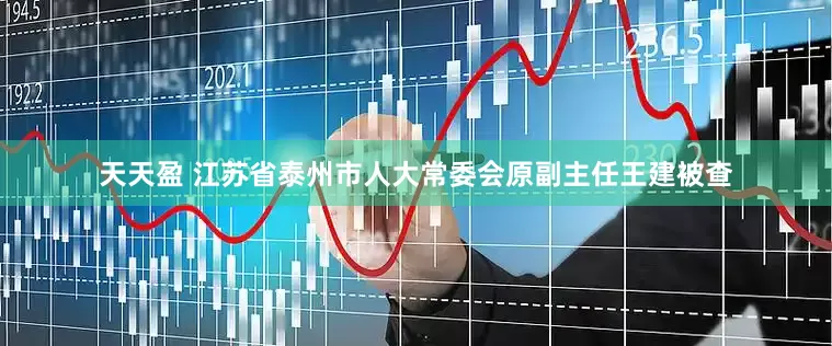天天盈 江苏省泰州市人大常委会原副主任王建被查