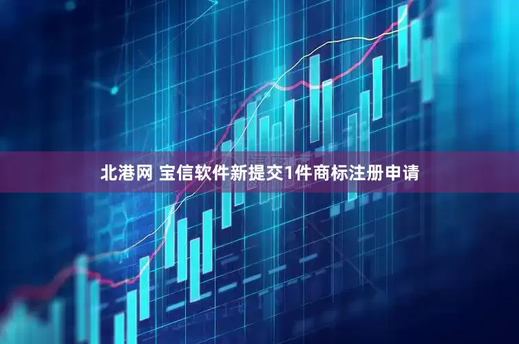 北港网 宝信软件新提交1件商标注册申请