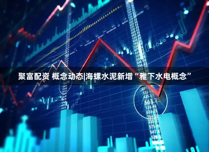 聚富配资 概念动态|海螺水泥新增“雅下水电概念”