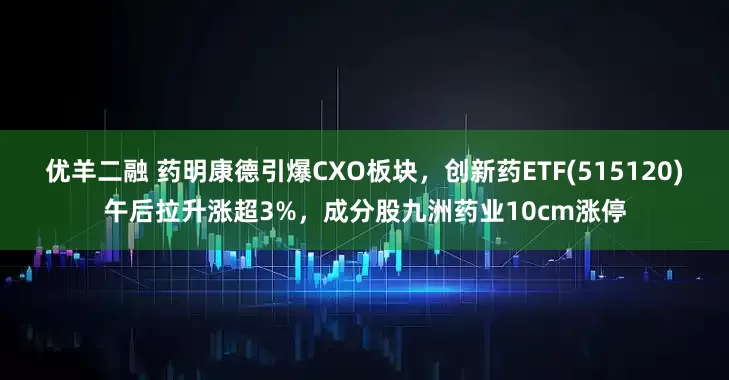 优羊二融 药明康德引爆CXO板块，创新药ETF(515120)午后拉升涨超3%，成分股九洲药业10cm涨停