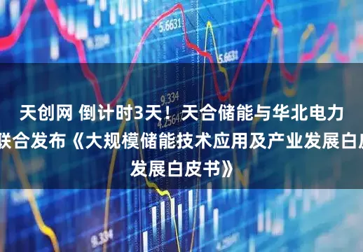 天创网 倒计时3天！天合储能与华北电力大学联合发布《大规模储能技术应用及产业发展白皮书》
