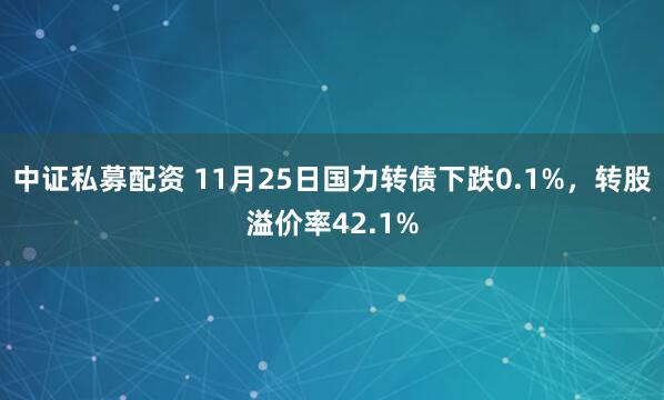中证私募配资 11月25日国力转债下跌0.1%，转股溢价率42.1%